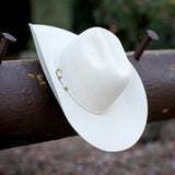 A belly colored cowboy hat with a small gold buckle detail, resting on a dark brown wooden log outdoors.
