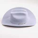 100X Independencia platinum cowboy hat left side angle